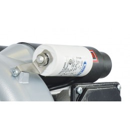 ROBUST LEISTER