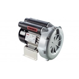 ROBUST LEISTER